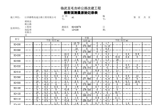 横断面测量记录