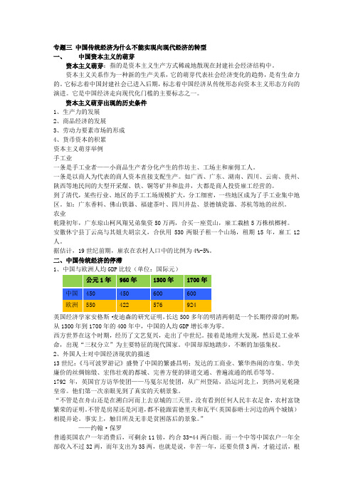 专题三 中国传统经济为什么不能实现向现代经济的转型