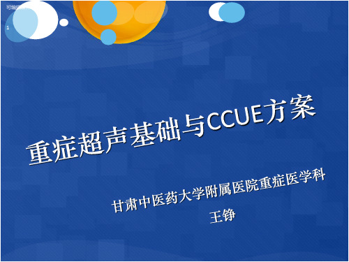 重症超声基础与CCUE方案ppt课件