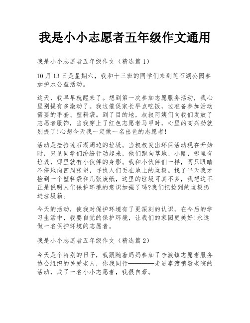 我是小小志愿者五年级作文通用