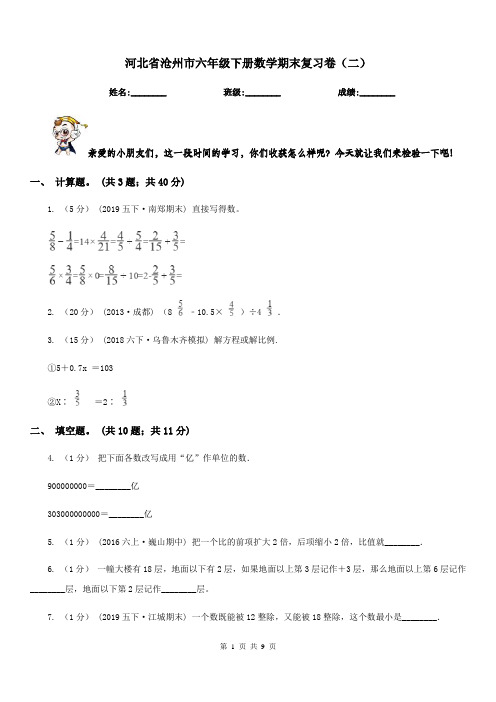 河北省沧州市六年级下册数学期末复习卷(二)