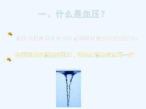 测量血压培训课程