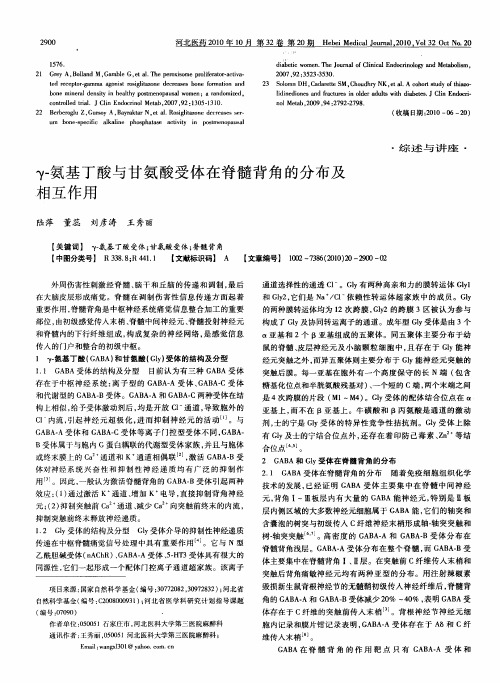 γ-氨基丁酸与甘氨酸受体在脊髓背角的分布及相互作用