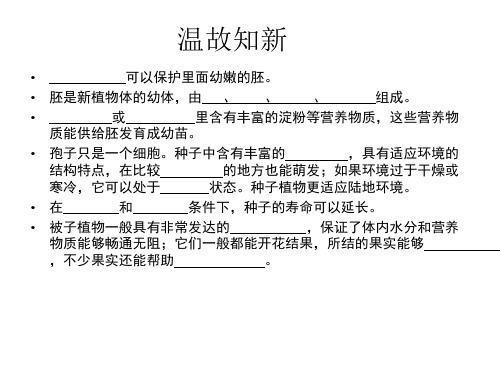 种子的萌发教学课件