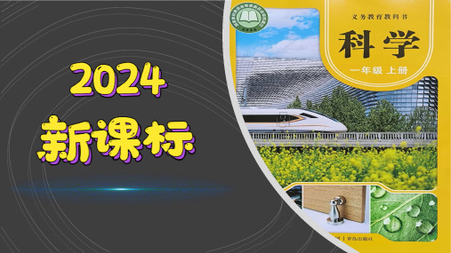 (2024)青岛版科学一年级上册(11)玩磁铁PPT课件(共17张PPT).ppt