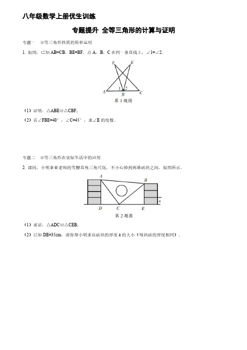 八年级数学上册优生训练：专题提升一  全等三角形的计算与证明含答案