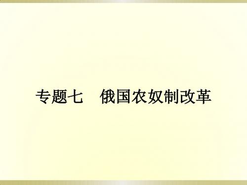 2017-2018高中历史人民版选修1课件：7.1 危机笼罩下的俄国