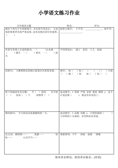 小学五年级语文练习作业19