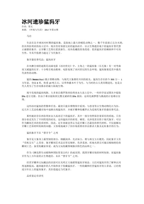 冰河遗珍猛犸牙