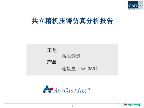 anycasting压铸仿真分析报告