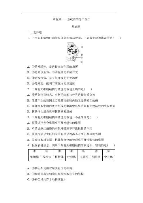 高三一轮复习生物：细胞器——系统内的分工合作基础练+提升练