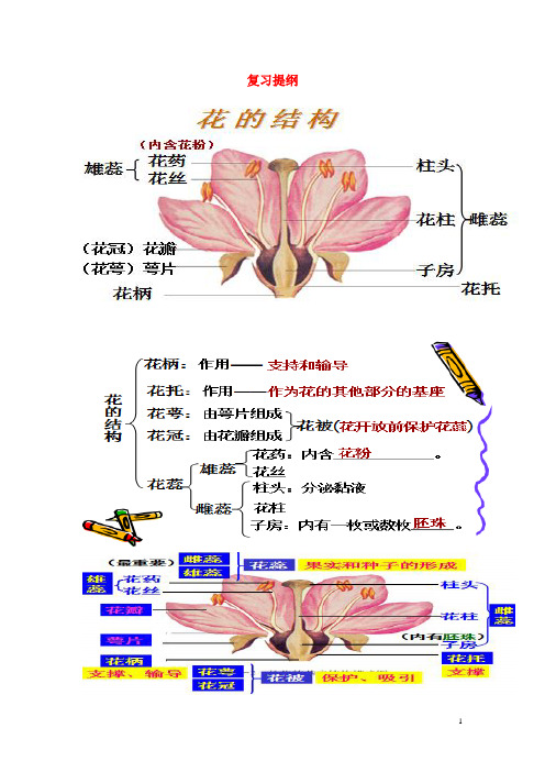 八年级生物上册 复习提纲 济南版(1)