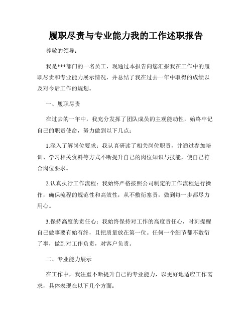 履职尽责与专业能力我的工作述职报告