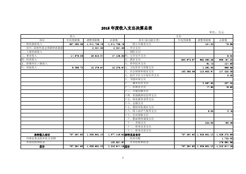 2015年度收入支出决算总表