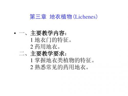 地衣植物(Lichenes)