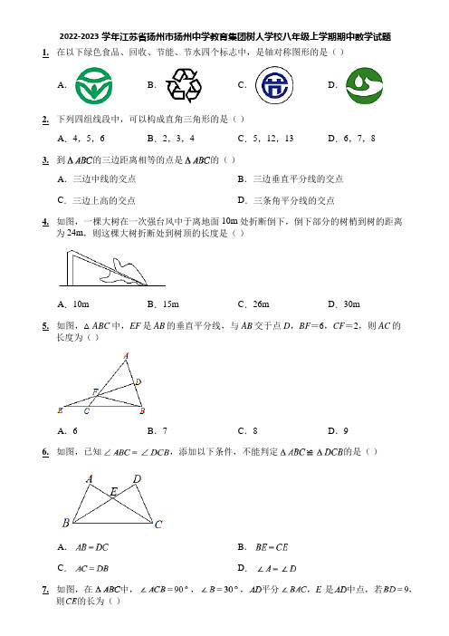 2022-2023学年江苏省扬州市扬州中学教育集团树人学校八年级上学期期中数学试题