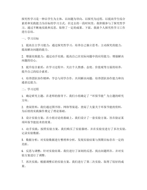 探究性学习个人工作总结