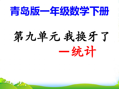 青岛版一年级下册数学课件 9.《统计》 (共12张PPT)
