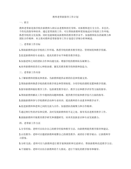 教师老带新指导工作计划