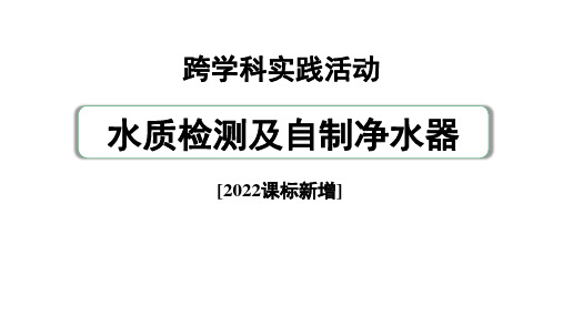 2024中考化学试题研究 跨学科实践活动——水质检测及自制净水器 (课件)