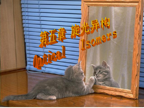 第五章 旋光异构