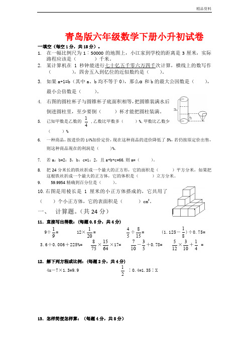 2020年青岛版六年级数学下册小升初试卷