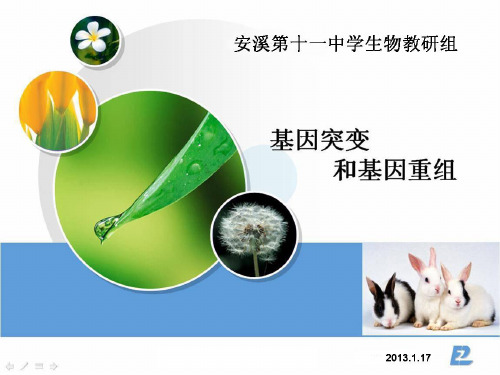 高中生物必修二 课件 基因突变和基因重组