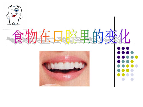 四年级上册科学课件-4.6食物在口腔里的变化 教科版(共12张PPT) (1)