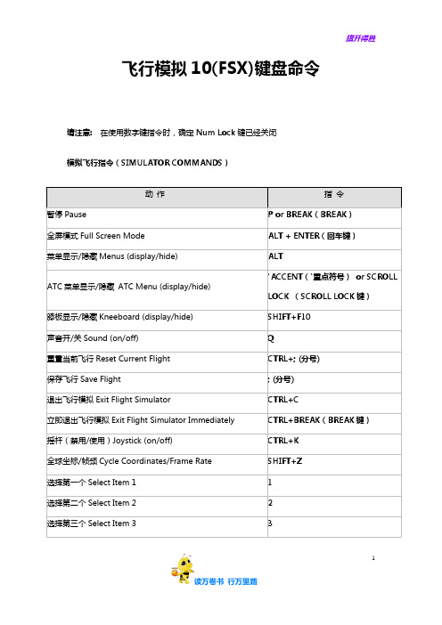 飞行模拟10(FSX)键盘命令