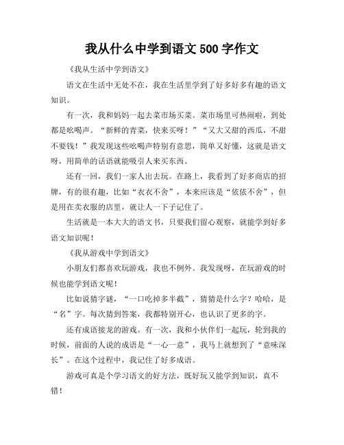 我从什么中学到语文500字作文