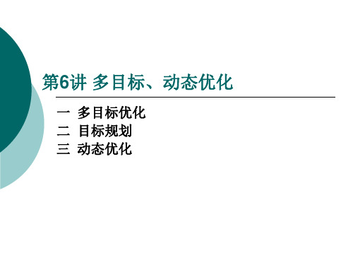 多目标动态优化