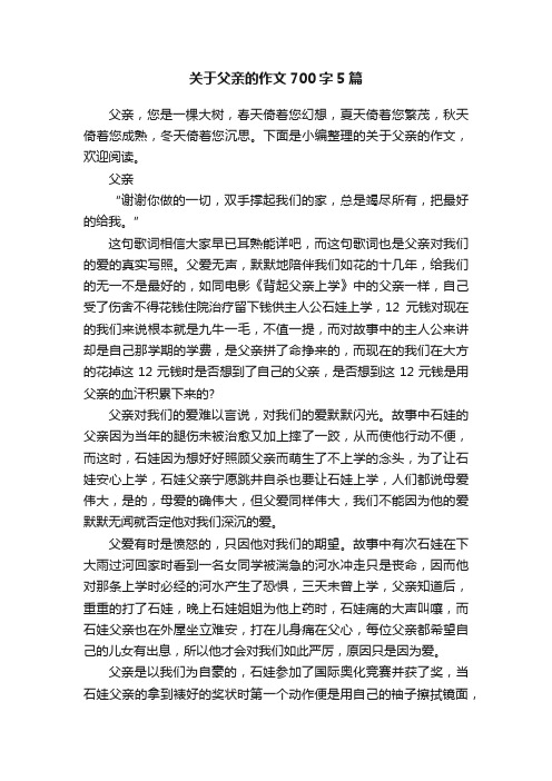 关于父亲的作文700字5篇