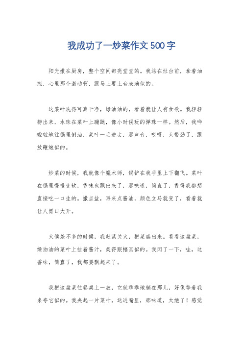 我成功了一炒菜作文500字