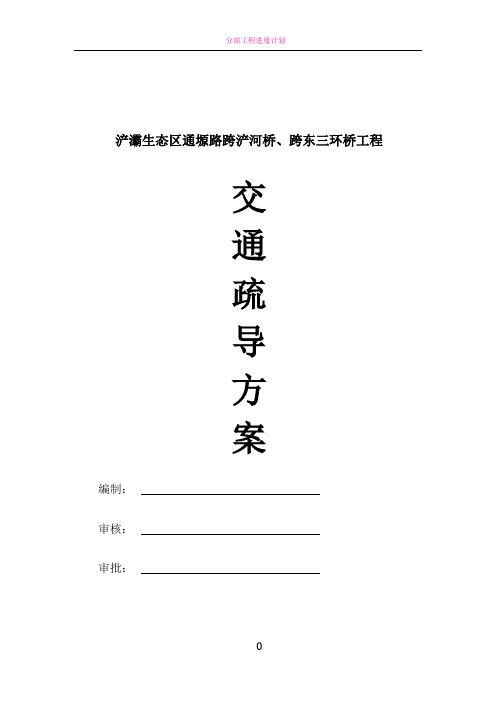 交通疏导专项方案