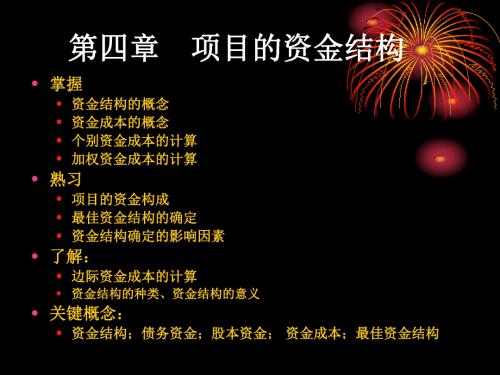 第四章项目的资金结构2010