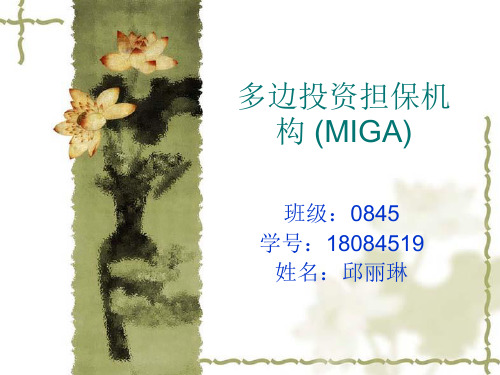 多边投资担保机构 (MIGA)