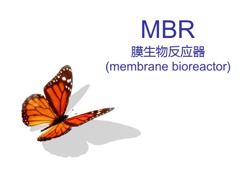 MBR膜生物反应器(membrane bioreactor)