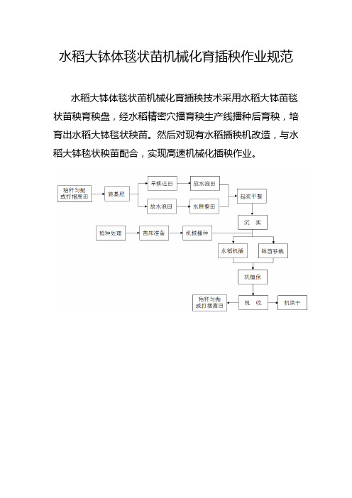 水稻大钵体毯状苗机械化育插秧作业规范