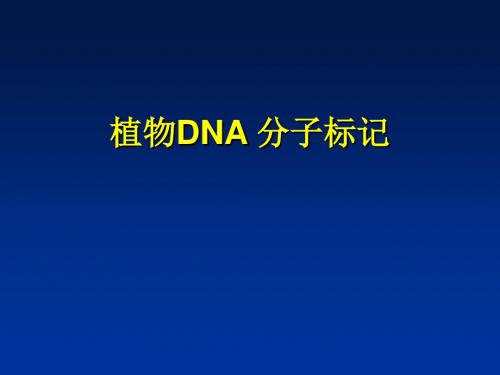 9植物DNA分子标记