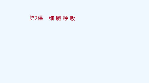 江苏专用2022版高考生物一轮复习第三单元细胞的能量供应和利用第2课细胞呼吸课件苏教版
