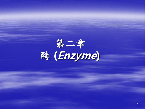 酶 Enzymeppt课件