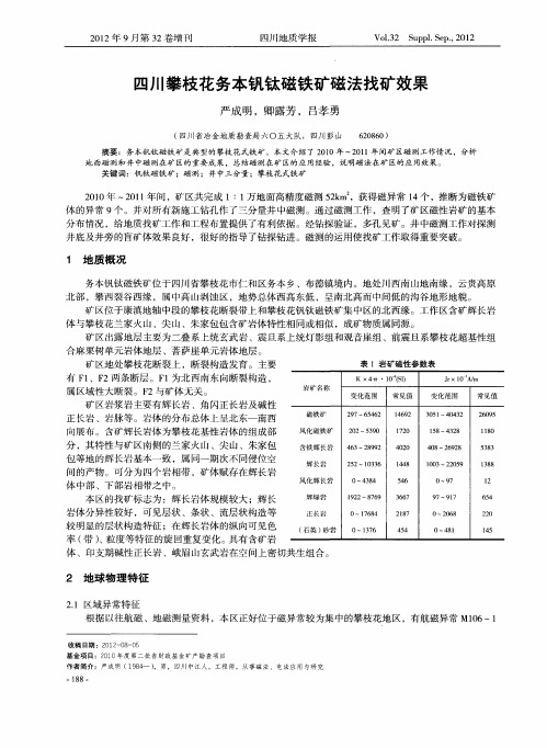 四川攀枝花务本钒钛磁铁矿磁法找矿效果