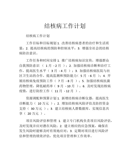 结核病工作计划