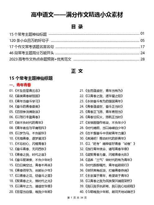 高中语文满分作文精选小众素材