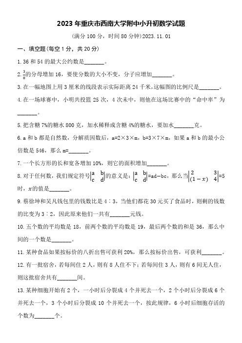 2023年重庆市西南大学附中小升初数学试题附详细答案