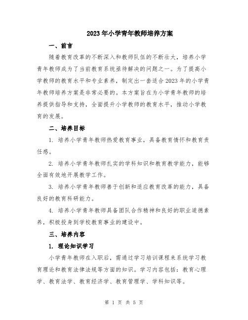 2023年小学青年教师培养方案