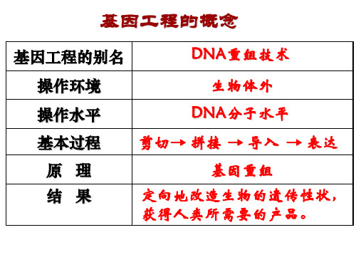 1.1  DNA重组技术的基本工具