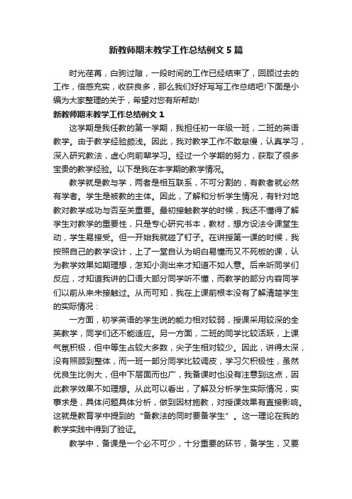 新教师期末教学工作总结例文5篇