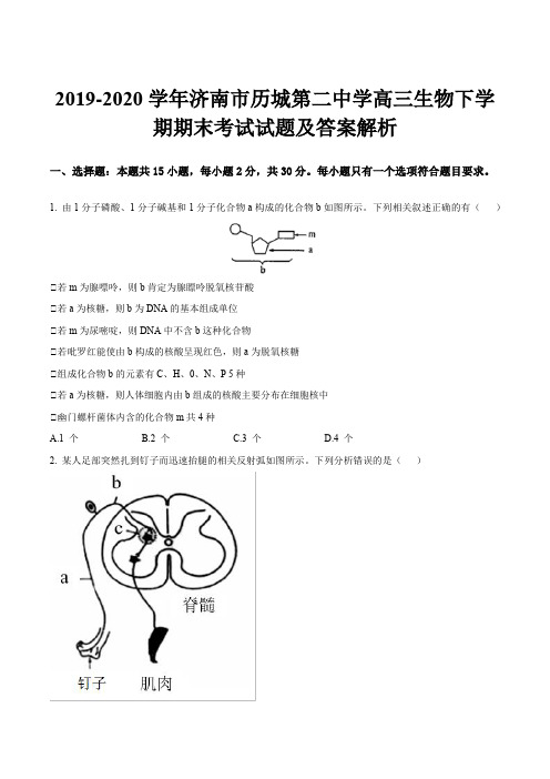 2019-2020学年济南市历城第二中学高三生物下学期期末考试试题及答案解析