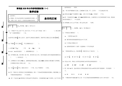 2020年数学小升初考前测试卷(一)  青岛版